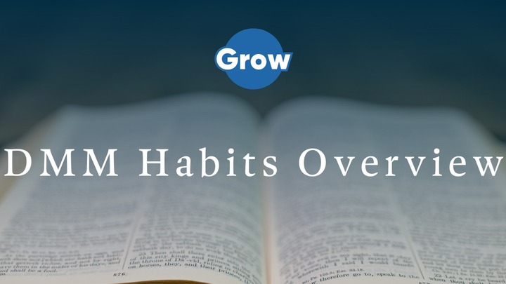 DMM Habits Overview logo