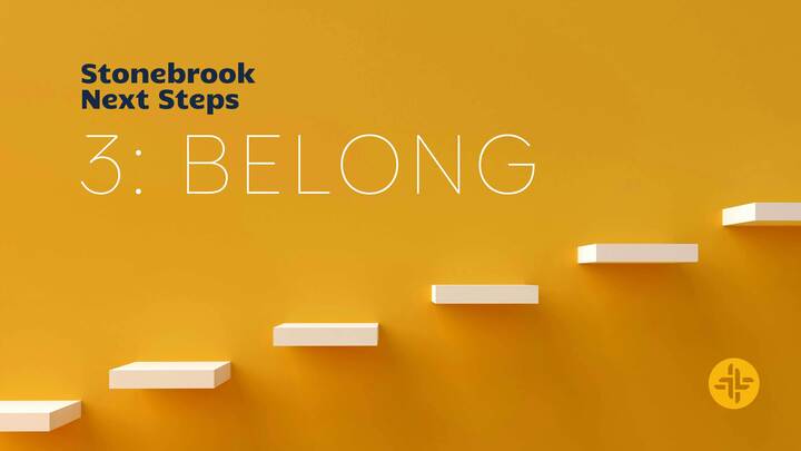 Next Steps: Belong November 2025 logo