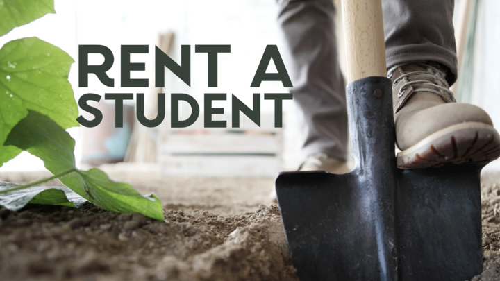 Rent A Student logo