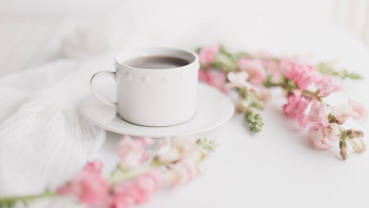 Joy-Fully in Christ logo