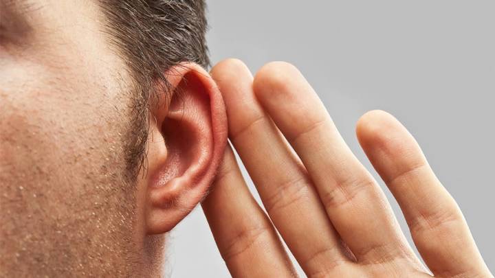 Better Hearing Lunch & Learn logo image