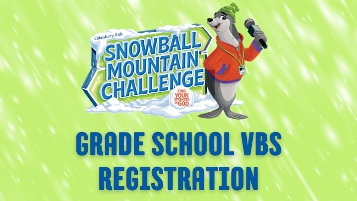 VBS 2026 logo