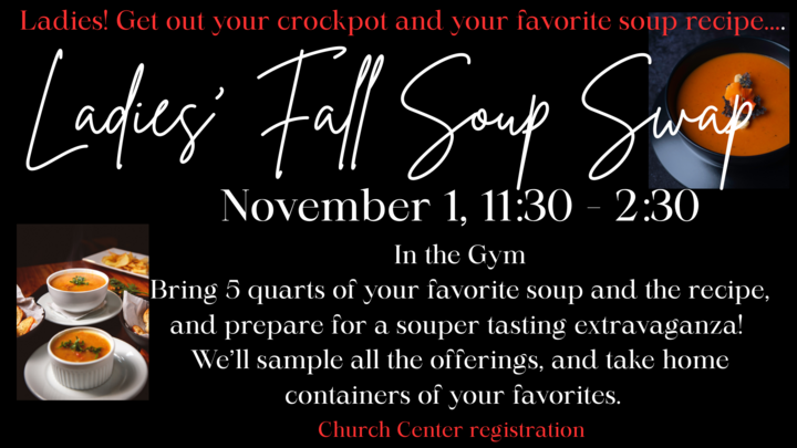 Ladies Soup Swap logo