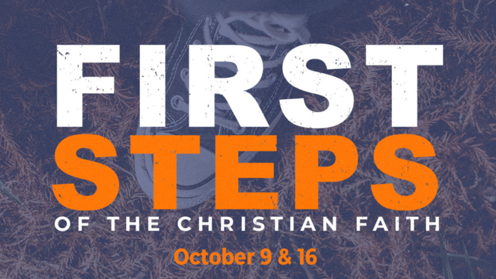 FIRST STEPS logo