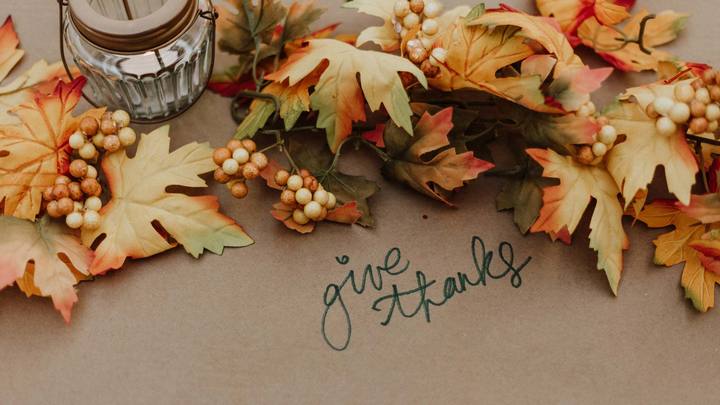 Friendsgiving in Renovo logo image