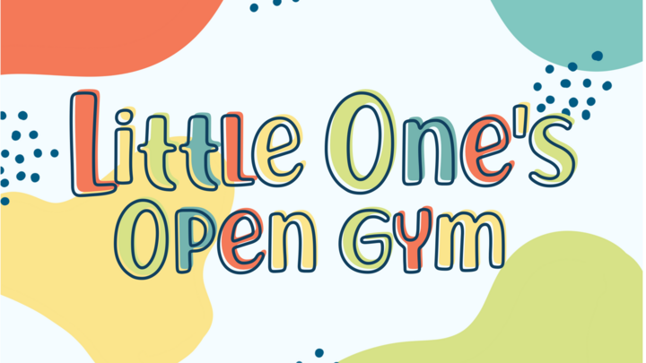 Little One's Open Gym Volunteers logo
