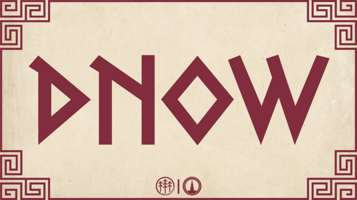 D-NOW at Briarwood 2026 logo