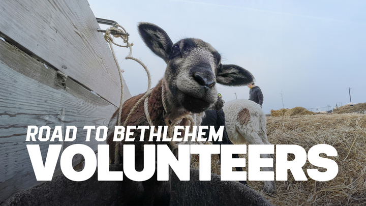 Road to Bethlehem Volunteers logo