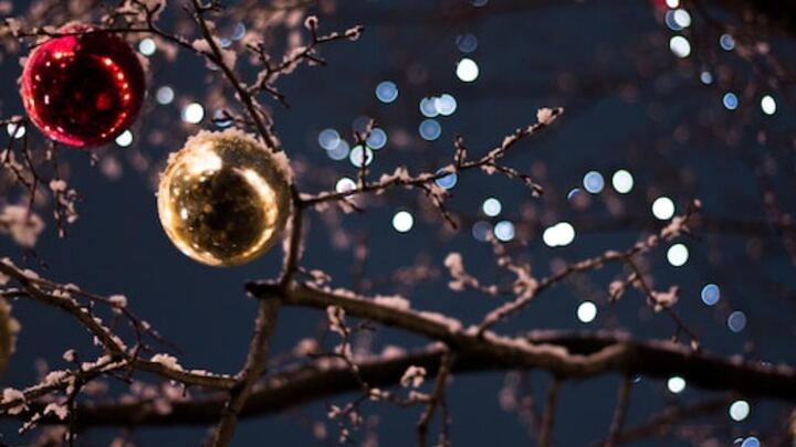 Light Up the Park logo