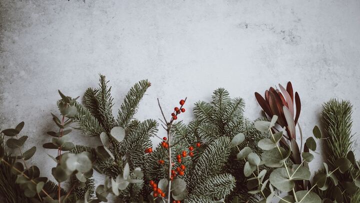 Christmas Family Night of Worship- Child Participation Sign Up logo