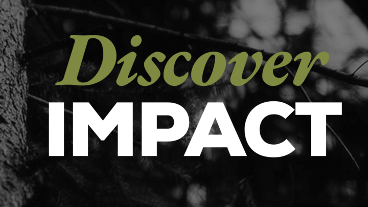Discover Impact logo