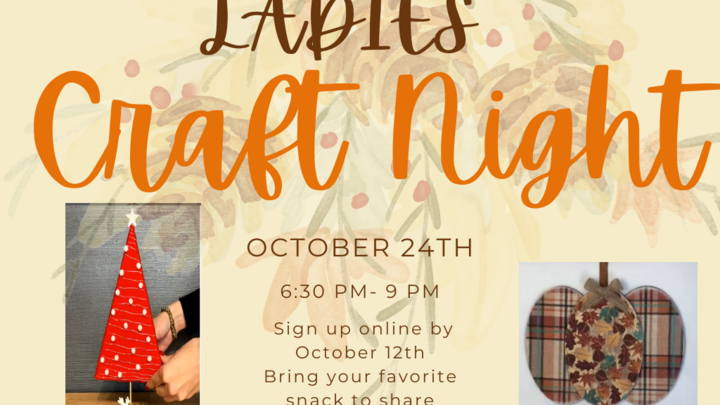 Ladies Craft Night logo
