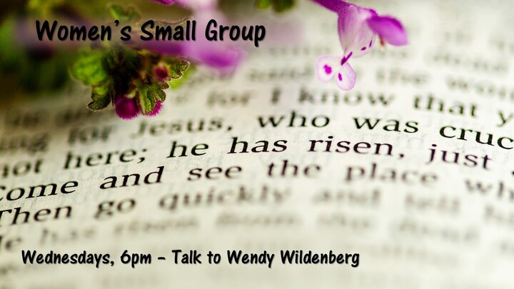 Women's Bible Study logo