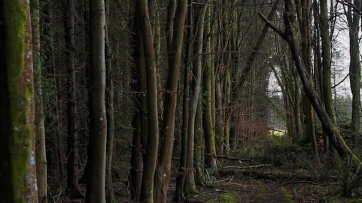 Discernment Retreat 2024 logo