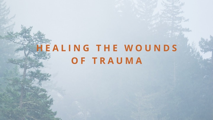 Healing the Wounds of Trauma Winter 2026 logo