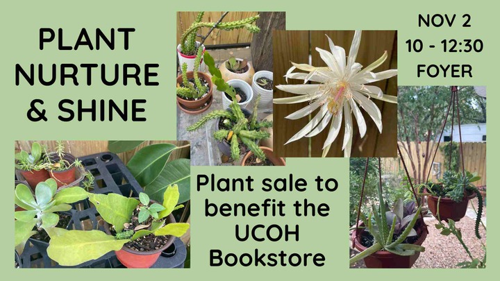 Plant, Nurture and Shine logo