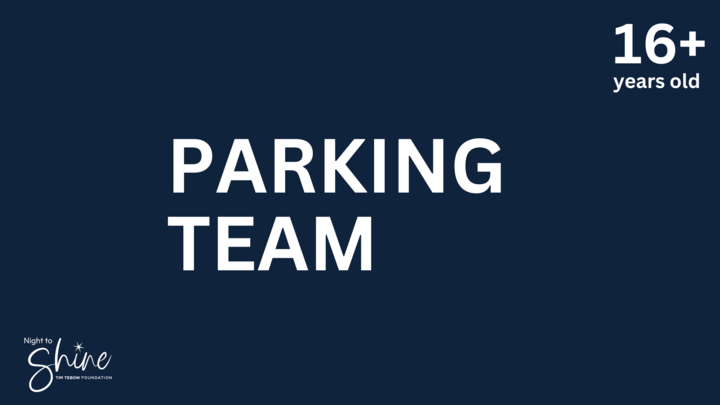 Parking Team logo