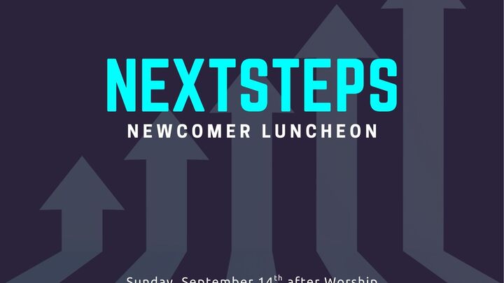 Next Steps 11.9.25 logo