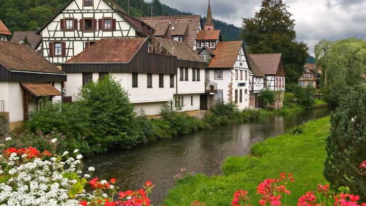 Germany Team (Spring Break) logo