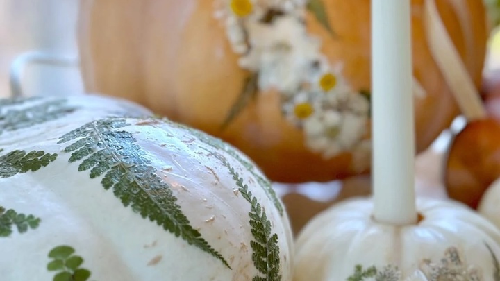 Praise & Pumpkins  logo