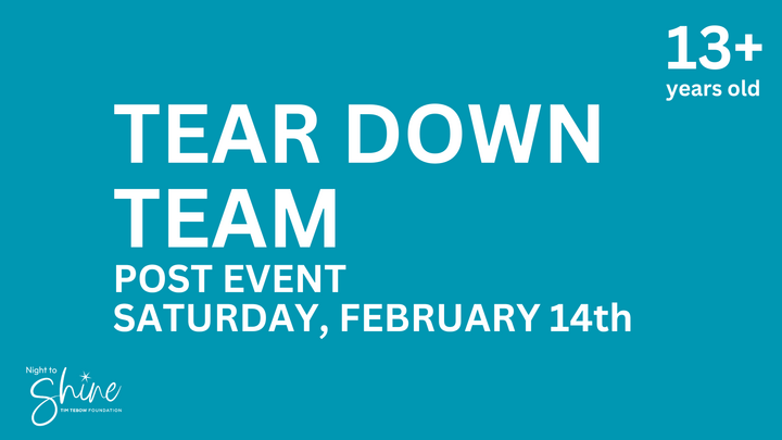 Tear Down Team - Saturday logo