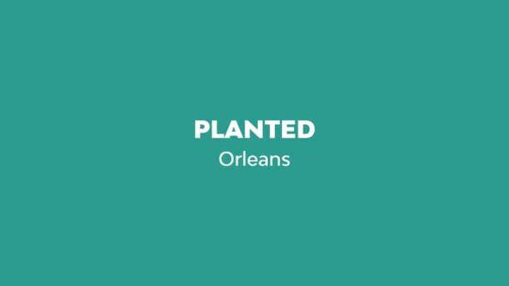 Planted - October 26, 2025 - Orleans logo