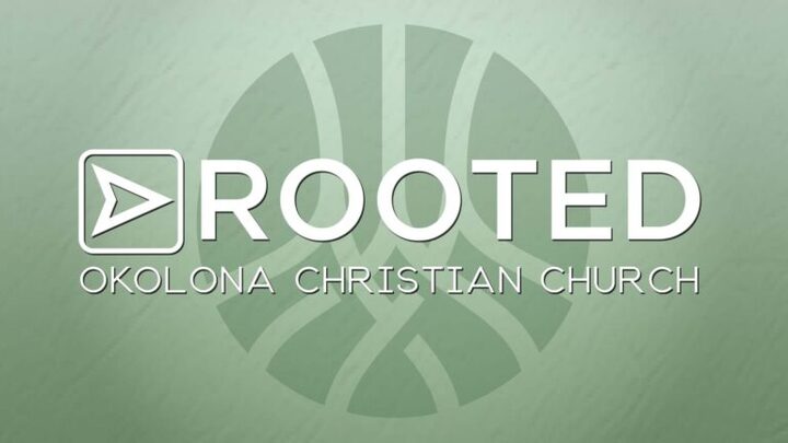 Rooted logo