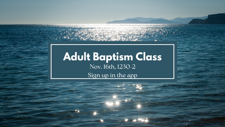 Adult Baptism Class logo