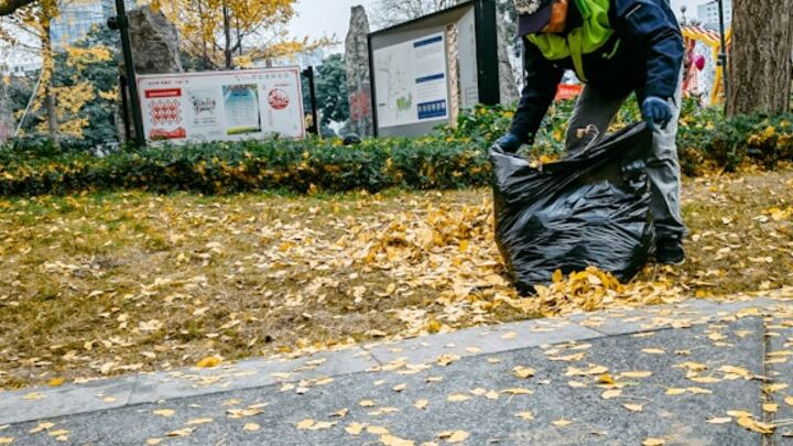 November | Help Elderly Neighbors Clear Out Debris | 1-4pm | Second Saturday SERVE logo