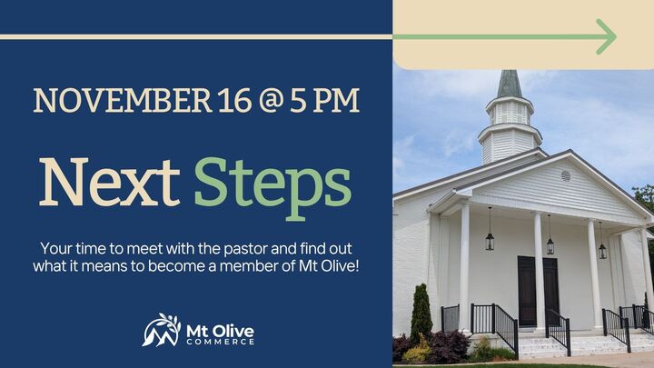 Next Steps (November 16th) logo