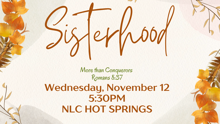 Ladies Night Hot Springs logo