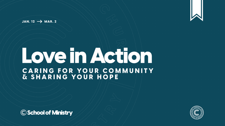 School of Ministry | Love In Action logo
