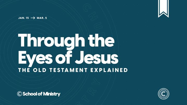 School of Ministry | Through The Eyes Of Jesus logo