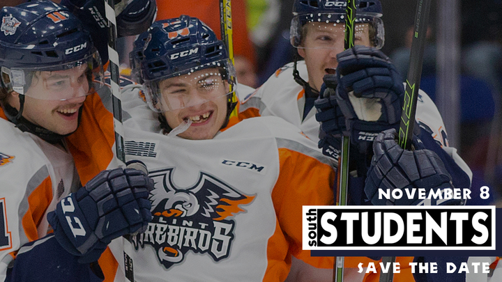 Flint Firebirds - Student Ministries logo