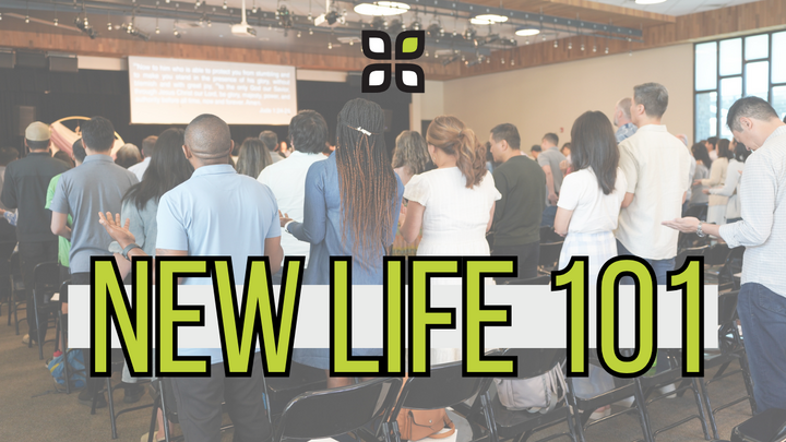 New Life 101  logo