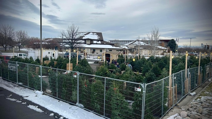 $10 Off Your Christmas Tree logo