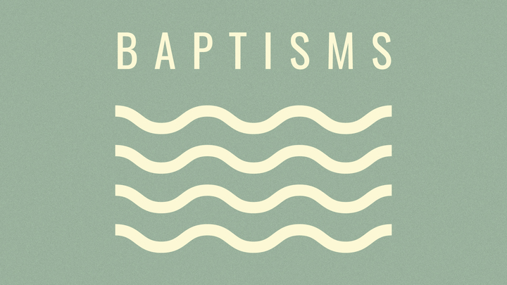 Maui | Baptisms  logo