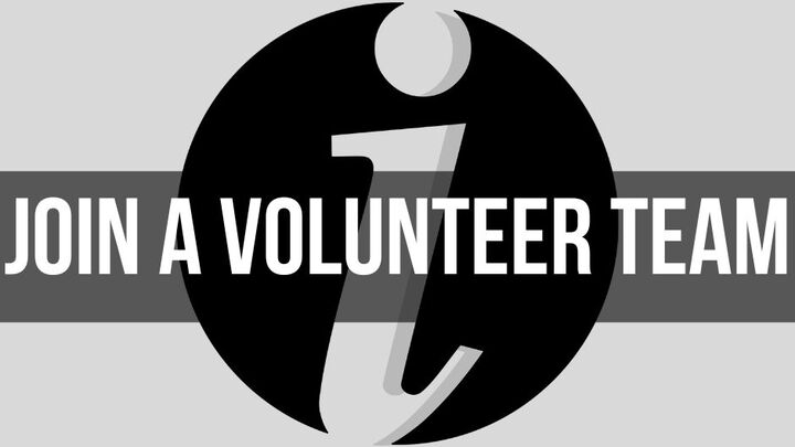 Volunteer to Serve logo