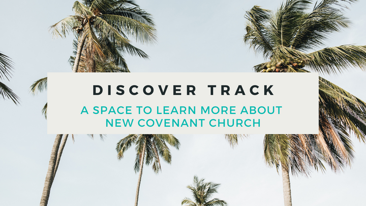 Discover Track November 2025 logo