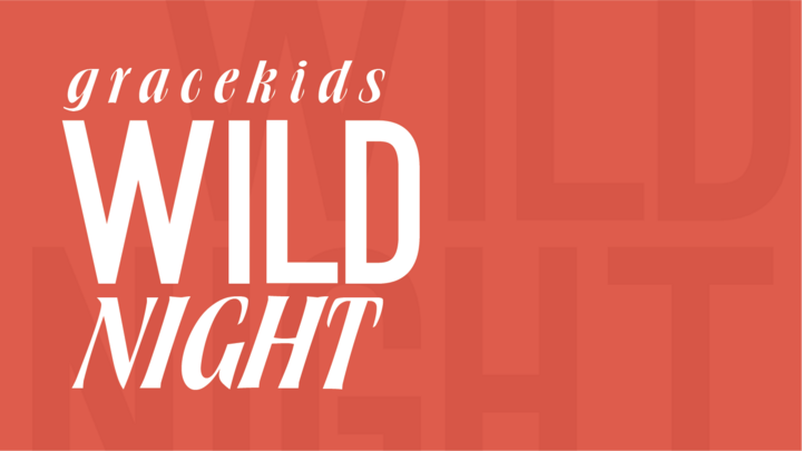 Wild Night (5/8/26) logo