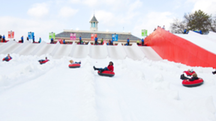 Snow Mountain at Stone Mountain Park, Atlanta, Georgia Cost $60 logo image