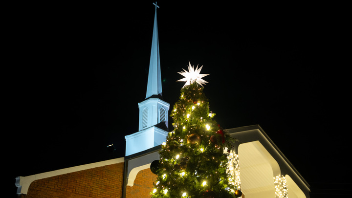 Christmas Tree Lighting logo