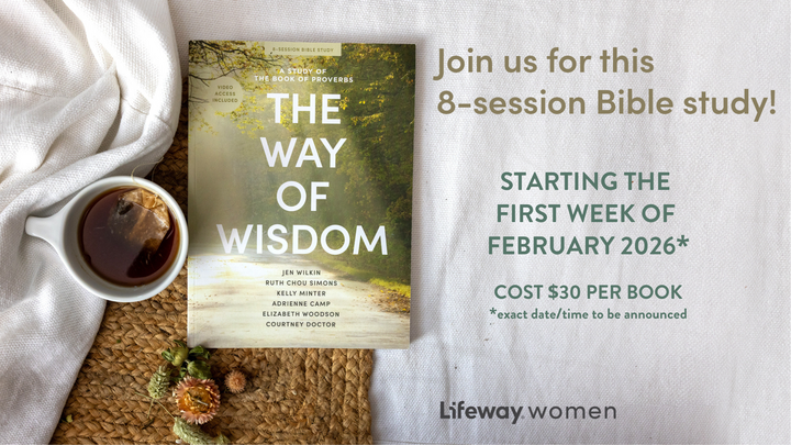 KV Women Bible Study - The way of Wisdom logo