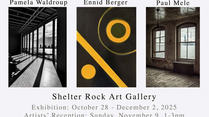 Forms & Narratives by Pamela Waldroup, Ennid Berger, and Paul Mele logo