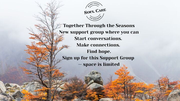 Together through the Seasons logo