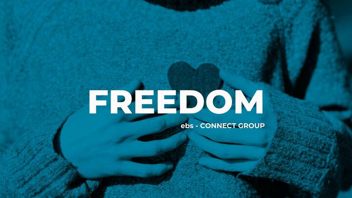 FREEDOM - 2026 logo