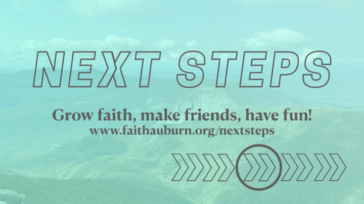 Next Steps  - November 2025 logo