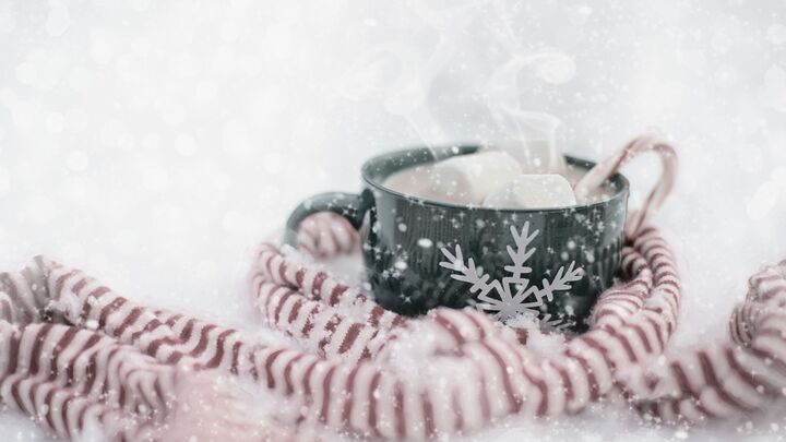 Ladies Christmas Mug Exchange logo