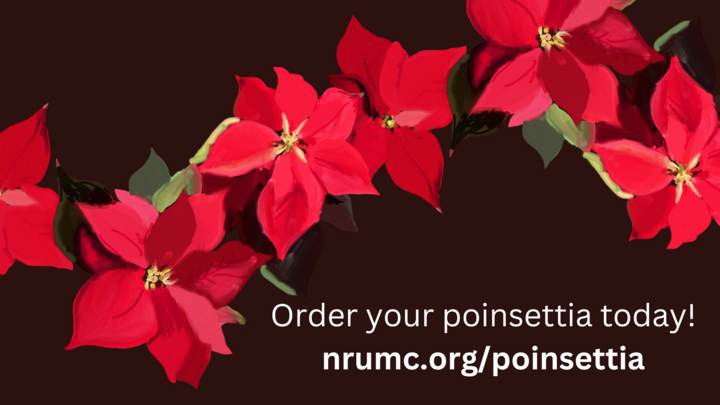 NRUMC Poinsettia logo