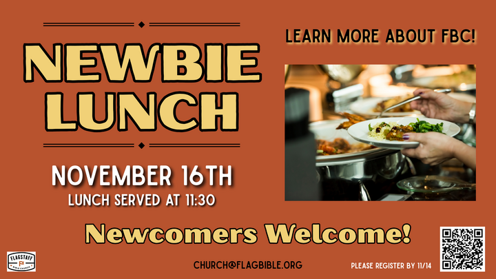 Newbie Lunch logo